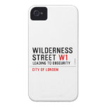 Wilderness  Street  iPhone 4 Cases