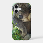 iphone 5 barely there qpc template iP - Customized 17 Case