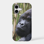 iphone 5 barely there qpc template ip - Customized 17 Case