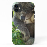 iphone 5 barely there qpc template iP - Customized 11 Case