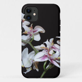 iPhone 5 Case