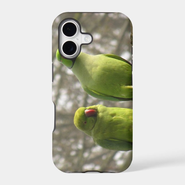 iPhone 5 case with curious parakeets (Back)