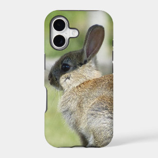 iPhone 5 case with rabbit in profile