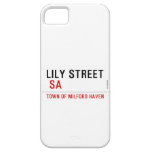 Lily STREET   iPhone 5 Cases