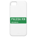 PALESA  iPhone 5 Cases