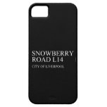 SNOWBERRY ROaD  iPhone 5 Cases