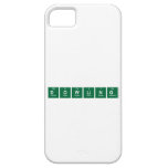 Dowling  iPhone 5 Cases