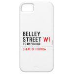 Belley Street  iPhone 5 Cases