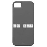 IX SBAW  iPhone 5 Cases