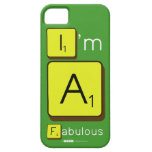 I'm
 A
 Fabulous  iPhone 5 Cases