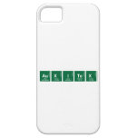 AUXITEX  iPhone 5 Cases