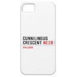 Cunnilingus  crescent  iPhone 5 Cases