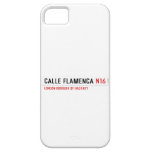 Calle Flamenca  iPhone 5 Cases
