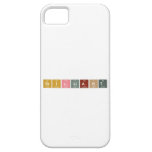 Brilliant  iPhone 5 Cases