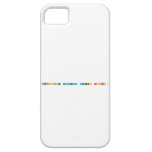 Renaissance Academy Scholars Rocks!  iPhone 5 Cases