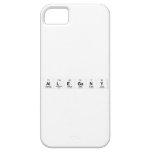 Allegany  iPhone 5 Cases