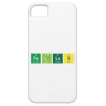 PAllab  iPhone 5 Cases