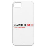 Chaznut rd  iPhone 5 Cases
