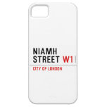 Niamh Street  iPhone 5 Cases