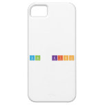 Val  Kish  iPhone 5 Cases