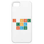 I HATE
 TOM
 BRADY  iPhone 5 Cases