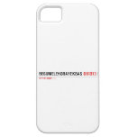 BEGUMELEKORAYEKBAS  iPhone 5 Cases