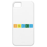 STEMEY  iPhone 5 Cases
