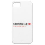 Floodplain lane  iPhone 5 Cases