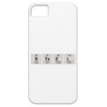 STEEL  iPhone 5 Cases
