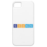 Bachmore  iPhone 5 Cases
