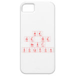 we 
 are the
 best 
 solution  iPhone 5 Cases