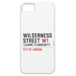 Wilderness  Street  iPhone 5 Cases