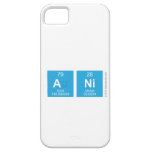 ANI  iPhone 5 Cases