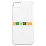 success
   iPhone 5 Cases