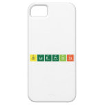 Blueprints  iPhone 5 Cases