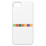 PORTFOLIO  iPhone 5 Cases