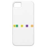 Team B K S   iPhone 5 Cases
