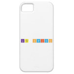 Lite Switch  iPhone 5 Cases