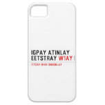 Igpay Atinlay Eetstray  iPhone 5 Cases