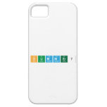 Summer7  iPhone 5 Cases
