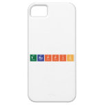 Traffic  iPhone 5 Cases