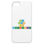 Gay
 Bitch
 Ass
 MotherFucker  iPhone 5 Cases
