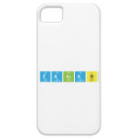 zainab  iPhone 5 Cases