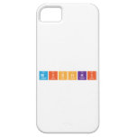 mishki  iPhone 5 Cases