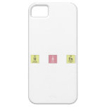 u S ES  iPhone 5 Cases