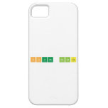 South Pointe  iPhone 5 Cases