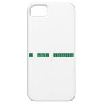 I Hate NIGGERS
   iPhone 5 Cases