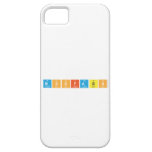 Mssfabs  iPhone 5 Cases