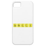Hornets  iPhone 5 Cases