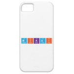 Mikai  iPhone 5 Cases